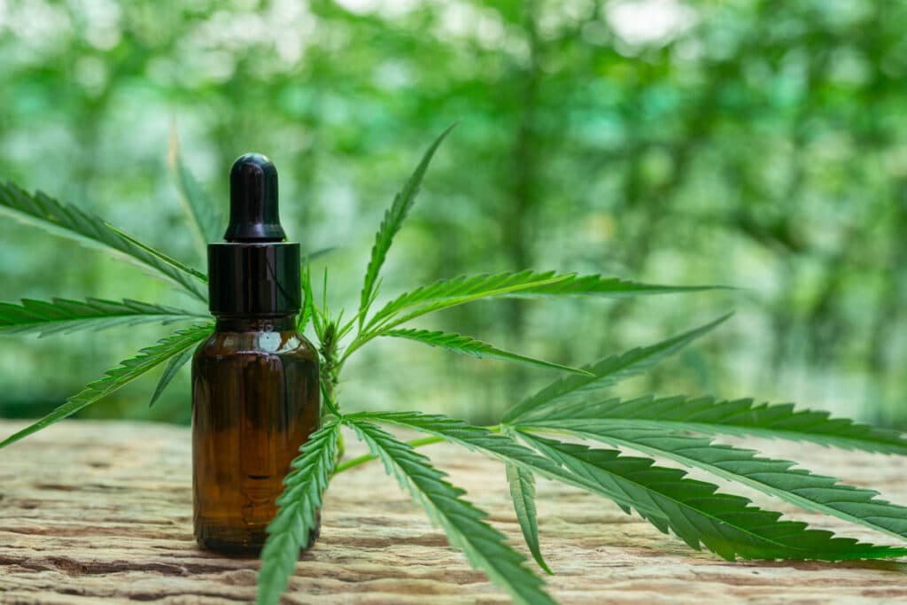 huile cbd