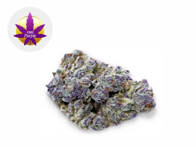 cbd purple fleur cbd