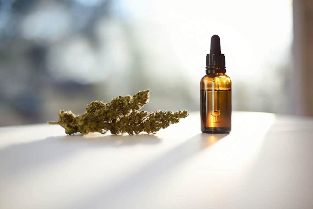Huile CBD pour chat en fin de vie