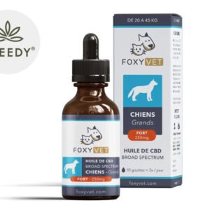 Huile de CBD 10% pour Chien - Foxyvet 30ml