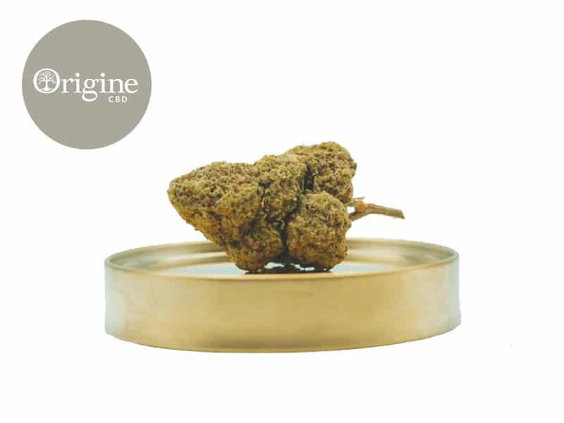 fleurs cbd origine cbd