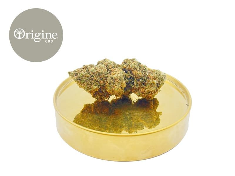 fleurs cbd origine cbd