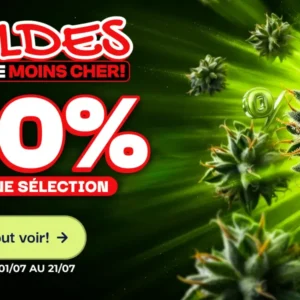 CBD pas chère, Soldes encore moins cher : -40% sur une sélection du 01/07 au 21/07, 10g offerts dès 89€